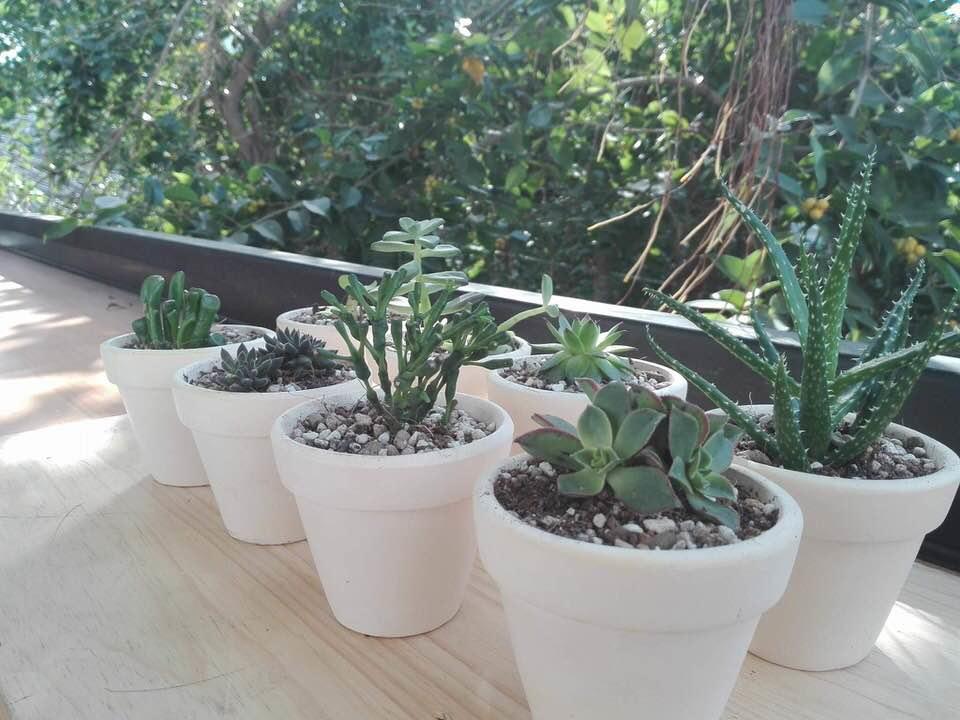Vector Hostel Nha Trang Ngoại thất bức ảnh